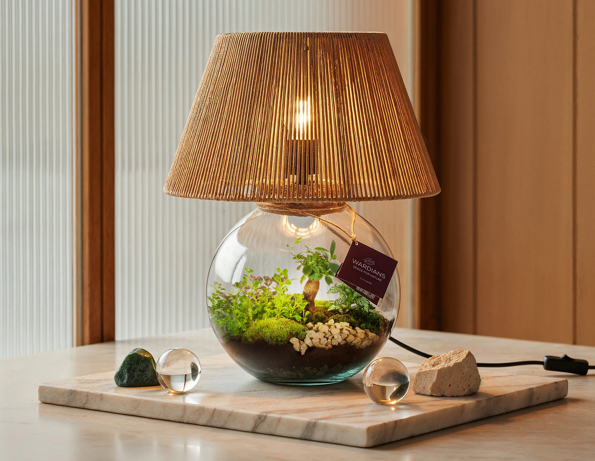 Wardians - ‘Moonlight Lamp’